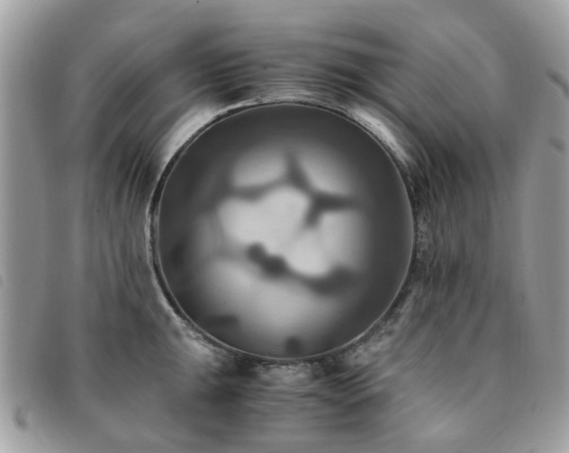 X0000091541047200708171239