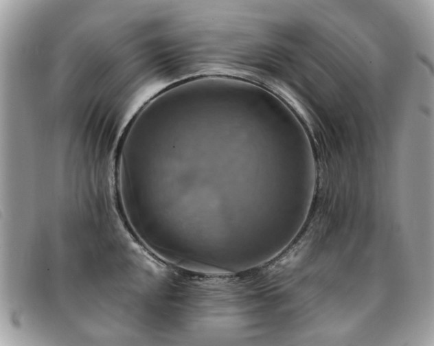 X0000091541048200708171239