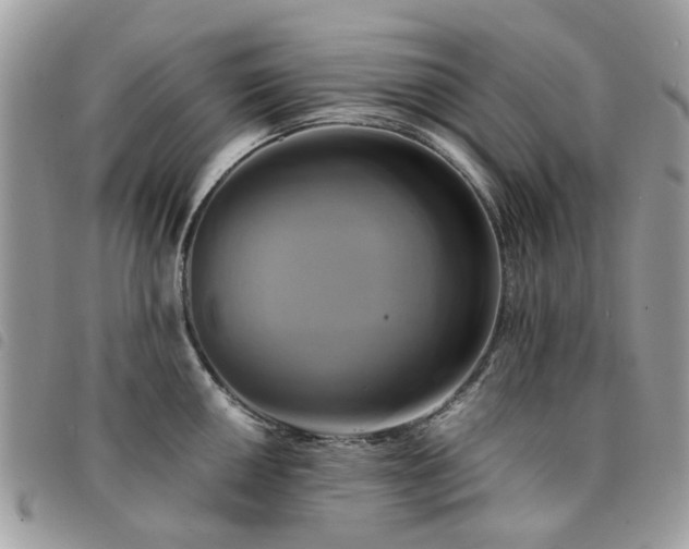 X0000091541050200708171239