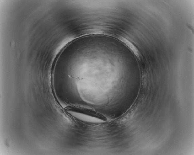 X0000091541051200708171239