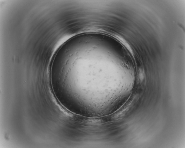 X0000091541053200708171239