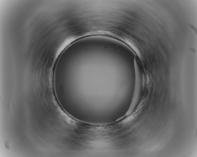 X0000091541054200708171239