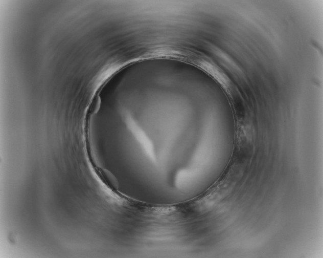 X0000091541055200708171239