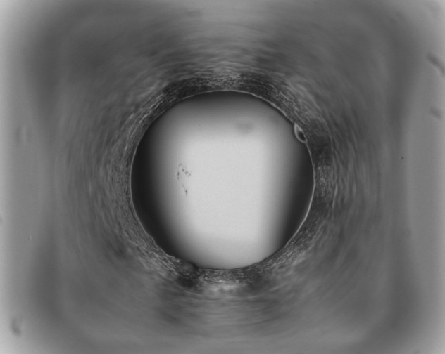 X0000091541057200708171239