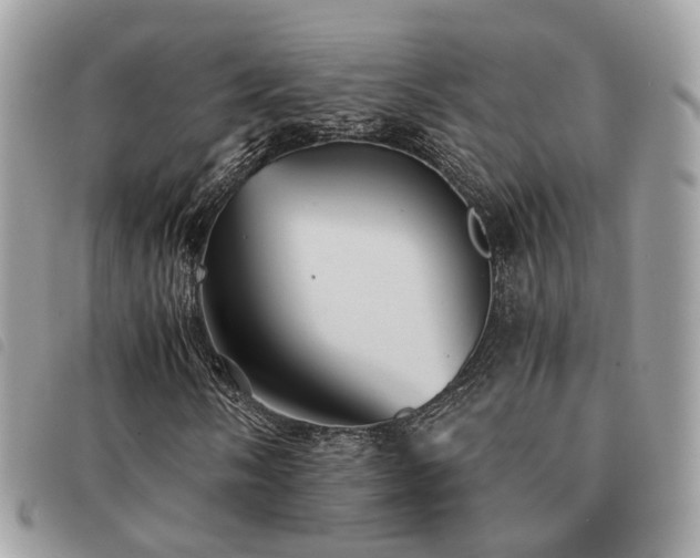 X0000091541058200708171239
