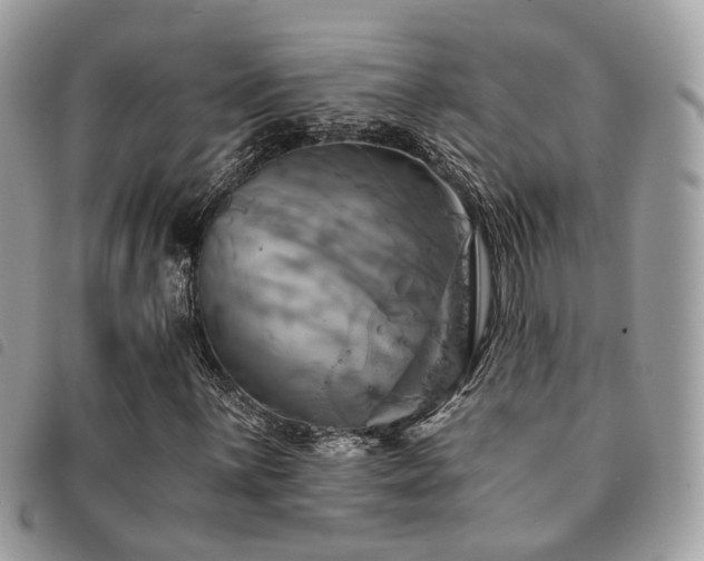 X0000091541059200708171239