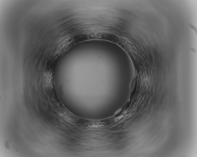 X0000091541060200708171239