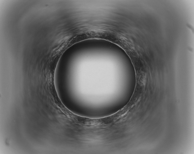 X0000091541061200708171239