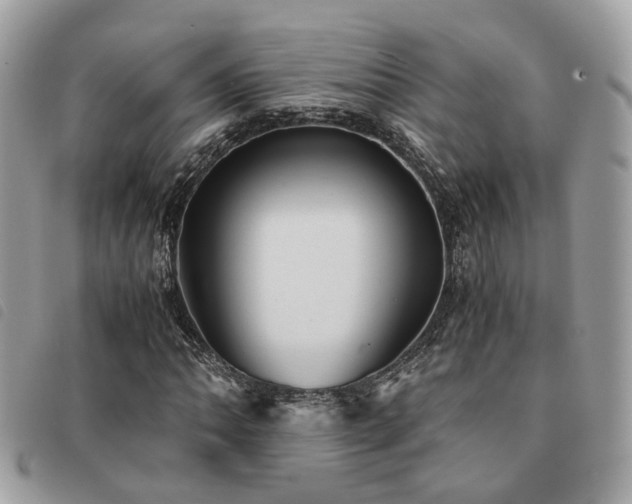 X0000091541062200708171239