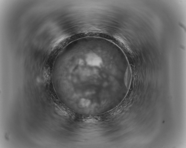 X0000091541063200708171239