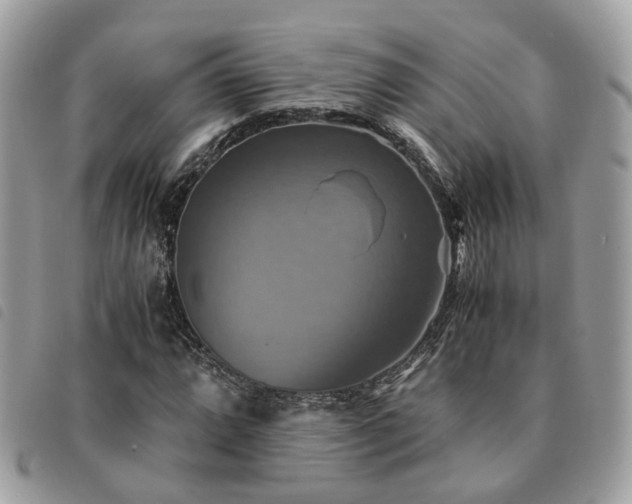 X0000091541064200708171239