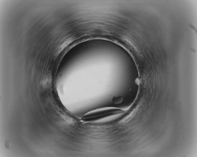 X0000091541065200708171239