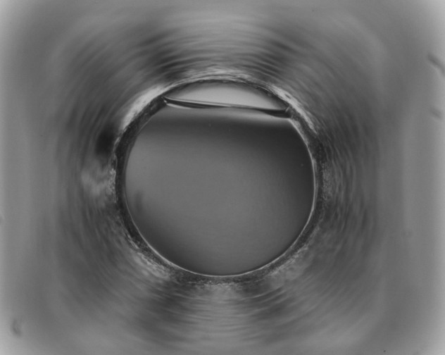 X0000091541066200708171239