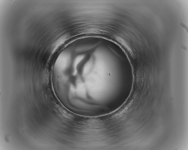 X0000091541067200708171239