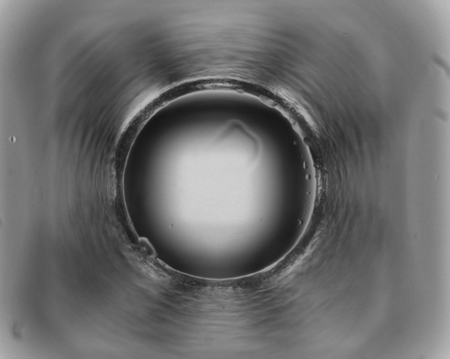 X0000091541069200708171239