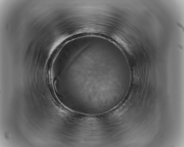 X0000091541070200708171239