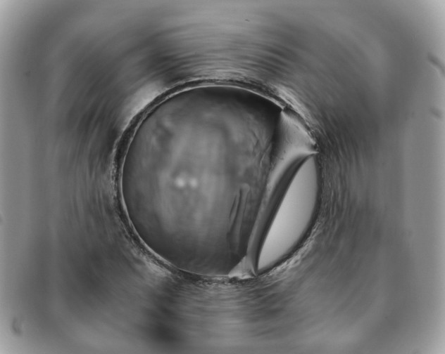 X0000091541071200708171239