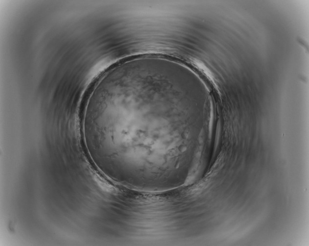 X0000091541072200708171239