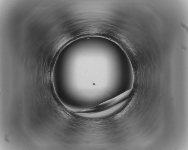 X0000091541073200708171239