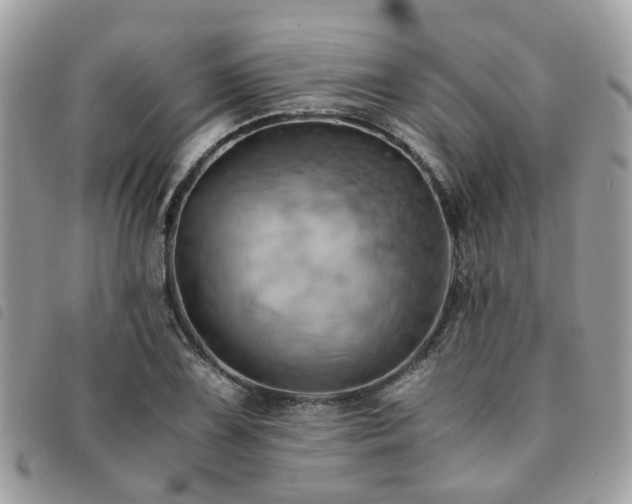 X0000091541075200708171239