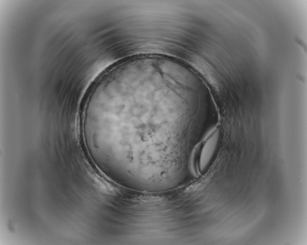 X0000091541076200708171239
