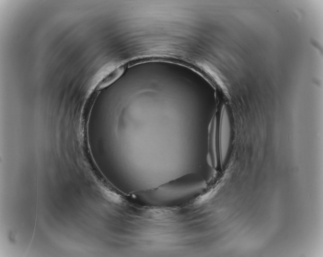 X0000091541077200708171239