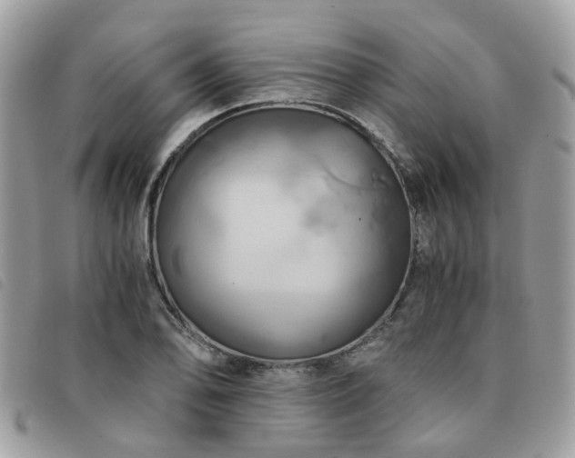 X0000091541078200708171239