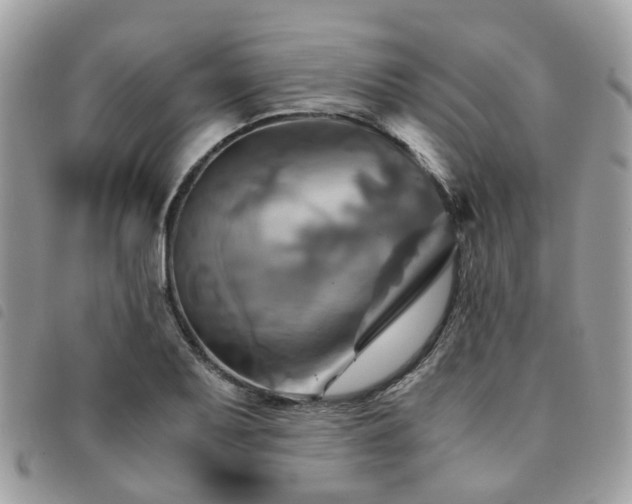 X0000091541079200708171239
