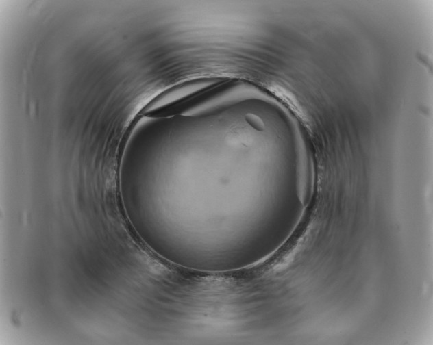 X0000091541081200708171239