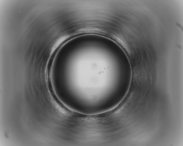 X0000091541082200708171238