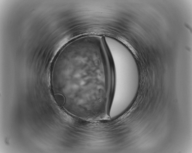 X0000091541083200708171238
