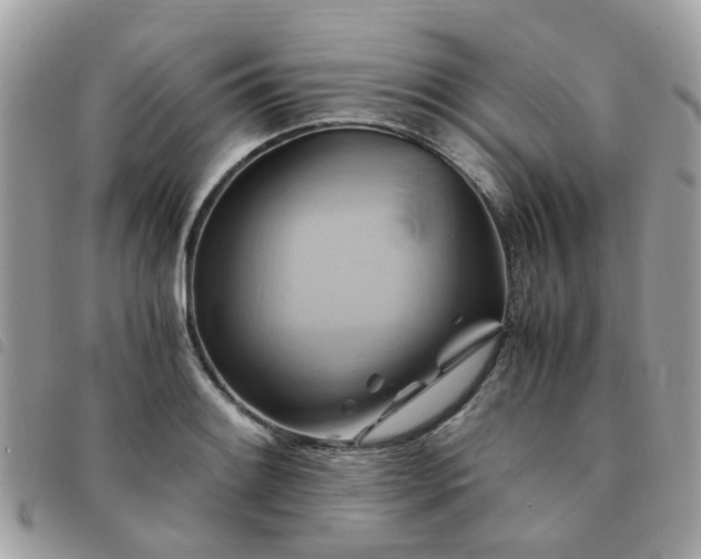 X0000091541084200708171238