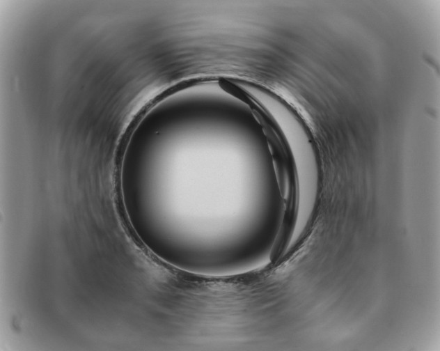 X0000091541085200708171238