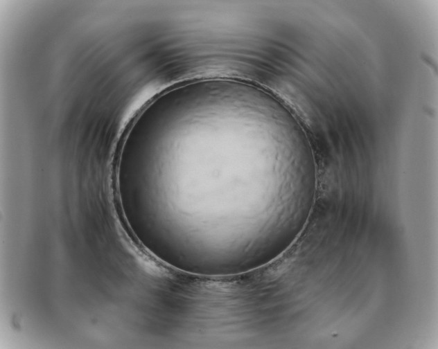 X0000091541086200708171238