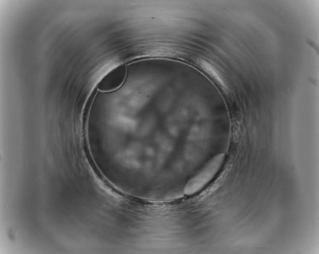 X0000091541087200708171238