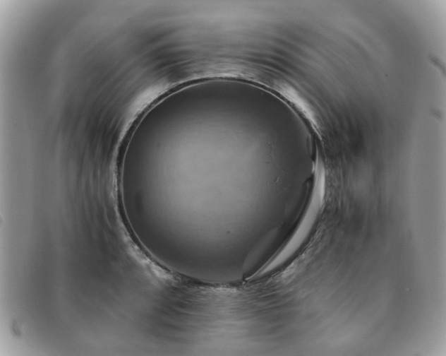 X0000091541088200708171238