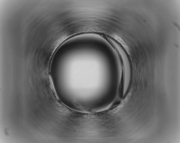 X0000091541089200708171238