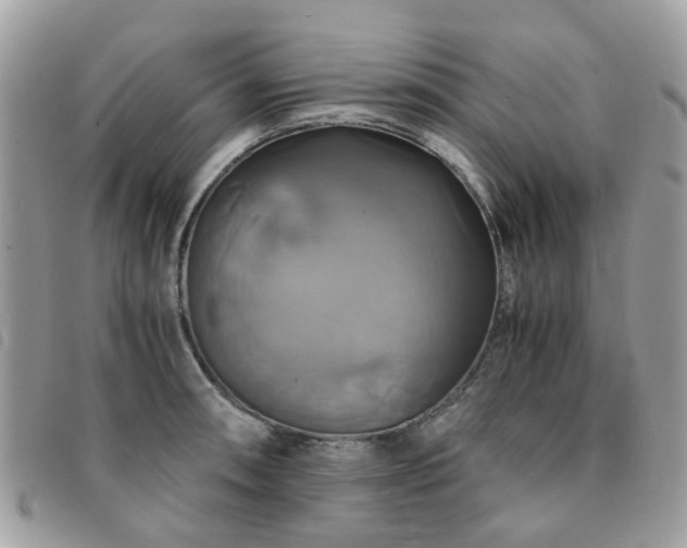 X0000091541090200708171238