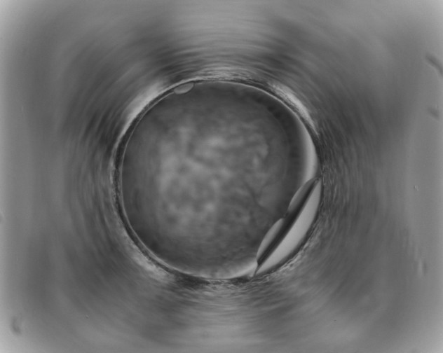 X0000091541091200708171238