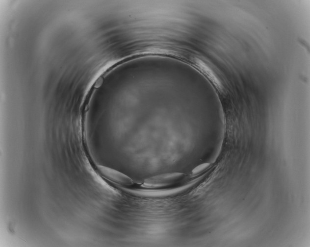 X0000091541092200708171238