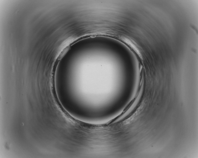 X0000091541093200708171238