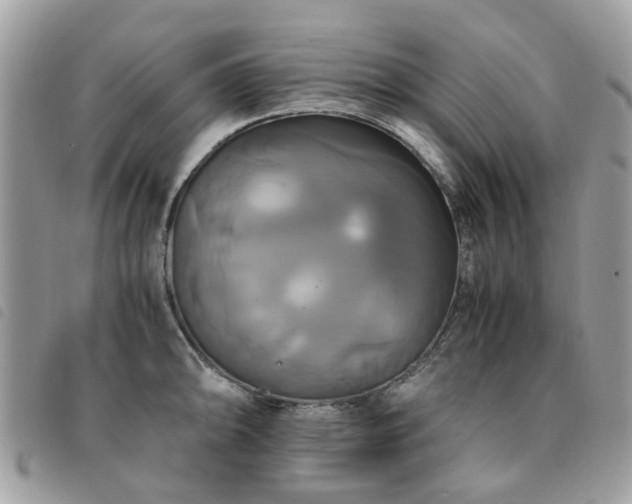 X0000091541094200708171238