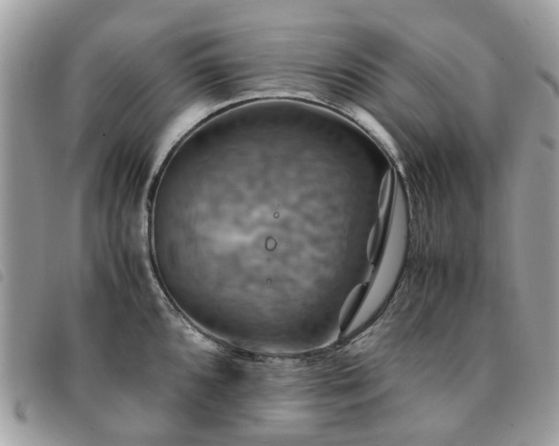X0000091541096200708171238