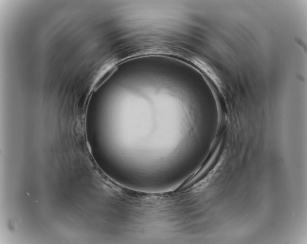 X0000091541097200708171238