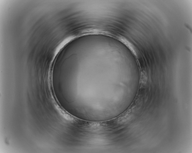 X0000091541098200708171238