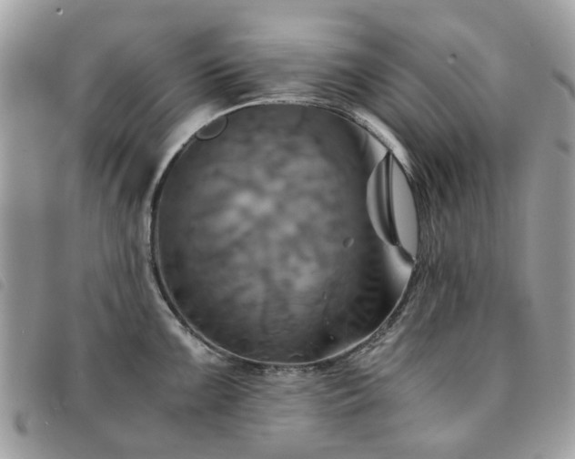X0000091541099200708171238