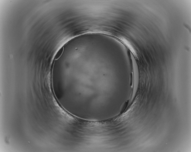 X0000091541100200708171238