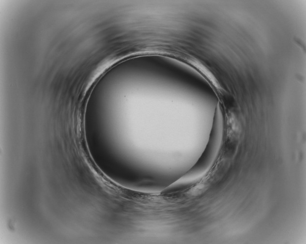 X0000091541101200708171238