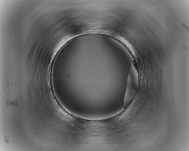 X0000091541102200708171238