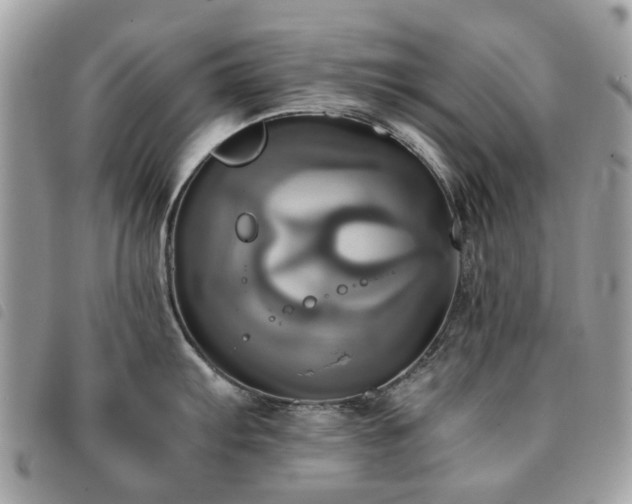 X0000091541103200708171238